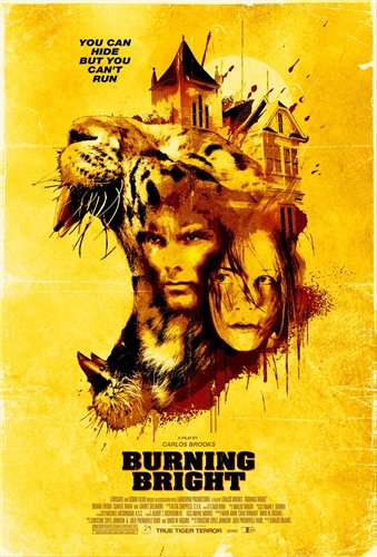 Смотреть онлайн Обжигающе красивый / Burning Bright (2010)